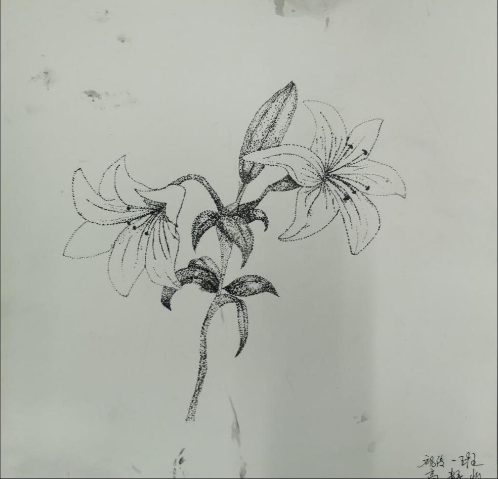 F439