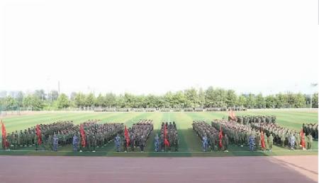 图片12